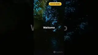 ✨🕯️ Discover the Magic of Waitomo Glowworm Caves 🌌🪄 | Nature&rsquo;s Underground Light Show! 🌿💫