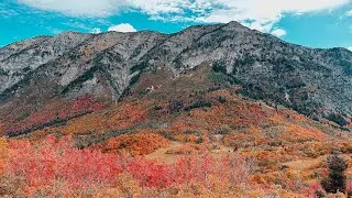 Fall Colors from Above | Buffalo Peak in Provo Canyon
