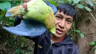 Jungle Bird Hunting Alone | Air Gun  Survival Skills
