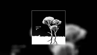 Terra Blume - Turmoil (Official Audio)