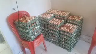 PREÇOS DOS OVOS BRANCO DESPENCOU ACHO QUE VAMOS TER QUE FAZER UMA PROMOÇÃO!!!