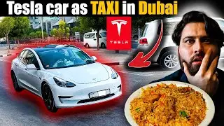Tesla as taxi 😳  Dubai life & Best 🇵🇰 Pakistani biryani in Dubai - Pak lyari Biryani....