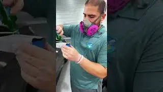 Ceramic coating