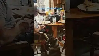 ВСЁ ДУШАЩЕЕ ДА ХВАЛИТ ГОСПОДА. ПСАЛОМ 150:6