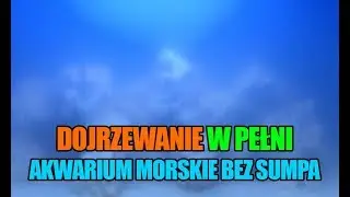 (40) Glossy Reef 200 - Dojrzewanie w pełni - Akwarium morskie bez sumpa - Reef aquarium