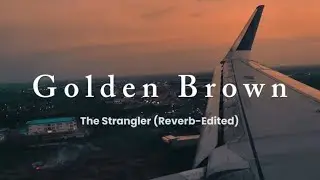 Golden Brown - The Strangler (Reverb) Edit By ArkanNafi'