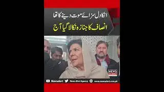 Aleema khan latest media talk about imran khan | Breakingnews | Newsalert