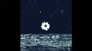 The Fourth Arc