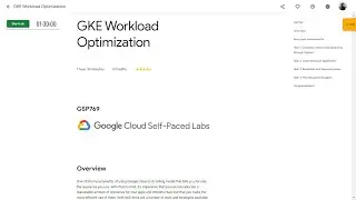 GKE Workload Optimization GSP769