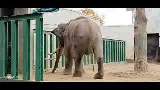 2026.02.07 09:04 マック ズゼ 開園時　（※けいさん撮影）