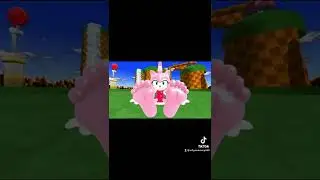 Amy rose feet