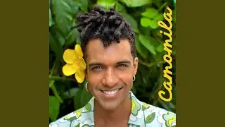 Camomila