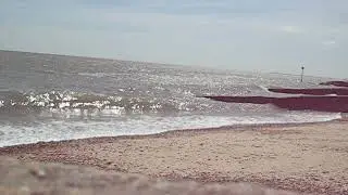 beach 2019