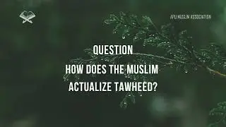 How does the Muslim actualize Tawheed? | Shaykh Saalih al-Fawzaan