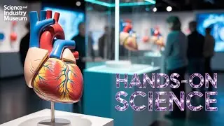 We went to Manchester's Science and Industry Museum