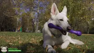 Перетяжка Zwig Zogoflex