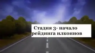 ILGAMOS   6 стадий развития бизнеса!