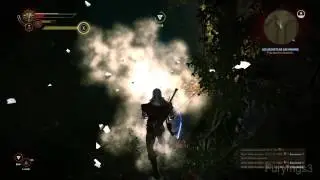 The Witcher 2 Walkthrough HD FR Part 65 : Les Secrets de Loc Muinne