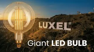 Luxel Oversized Edison LED Bulbs | Vintage Collection 2025