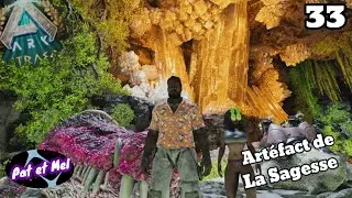 Art&eacute;fact de la Sagesse dans 