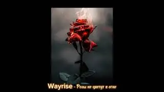 Wayrise - Розы не цветут в огне. (Music)