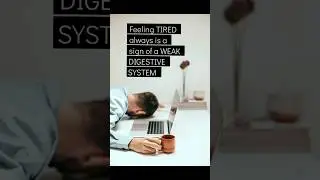 FIX your DIGESTIVE SYSTEM #guthealth #goodbacteria #tired #probiotics #digestionissues #constipation