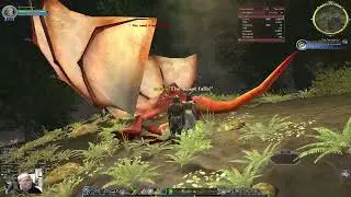 LOTRO - Lord of the Rings Online - Bloodwych - Slow look about to see what has been missed.