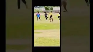 Monkey kick😃🤣#shorts #trending #funny