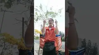 ShipperMCl Gi&oacute; Đưa Phi&ecirc;n bản nh&agrave; Cam SPX Tự Bi&ecirc;n Đạo.... Y&ecirc;u Mến Like Mạnh Shipper nh&eacute; #youtubeshort