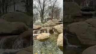 Keep flowing, no matter the rocks #naturalscenery #naturevibes #nature #waterwall  #relaxingmusic