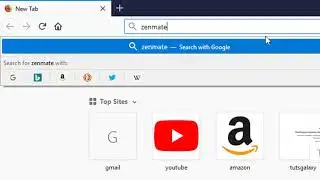 How To Add Zen Mate VPN Extension on Web Browser (Hindi/Urdu)