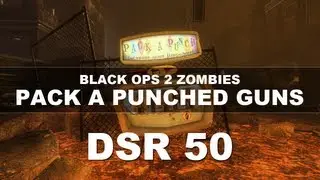 Black Ops 2 Zombies: Pack A Punched Guns | DSR 50/Dead Specimen Reactor 5000