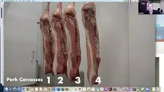 05Pork Cuts and Carcass Classes Meat judging clinic 2021
