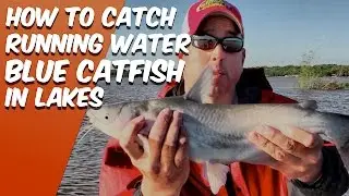 How To Catch Catfish In a Lake In Running Water (and Flooding) Conditions [Live Action]