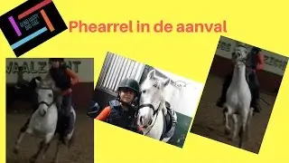 Wat was Phearrel lastig, maar ik blijf zitten! Die pony kan de pot op 😂