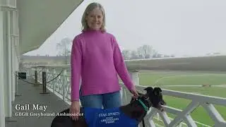 Star Sports Greyhound Derby - 2024 Promo Video