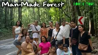 Bohol Man-Made Forest (part 11/BOHOL TOUR)