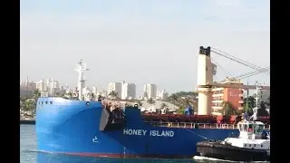 HONEY ISLAND PORT OF SANTOS SHIPSPOTTING JULY 2020 #18