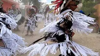 Santísima Trinidad Bufalos Guerreros  De Leon Guanajuato