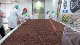 Darrell Lea Breaks Guinness World Record