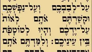 הרב יהוידע בוטא- קריאת שמע (ירושלמי)