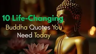 10 Life Changing Buddha Quotes You Need Today