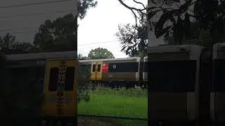 722 on a gympie north service #railtrack #railroad #railwaycontent #railway #shorts