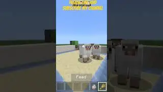sheep family chasing me for food #minecraft #sheep #trending #short #viral #tgmlduo