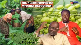 EII! HOW TO SEE A W!TCHCRAFT.NIM TREE REPLACES B!RTH.MORINGA MIRACLES.KEN IS RIGHT ON PROPHETS BUT
