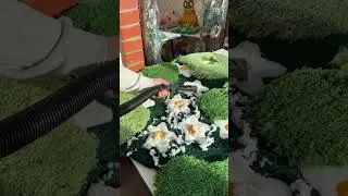 Mossy 3D Tufted Flower Rug 🥹 #handmade #custom #carpet #california