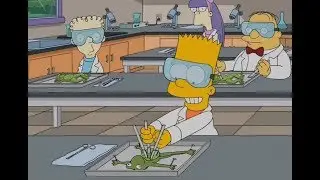 The Simpsons-The Way Bart Dissects Frogs!