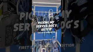 GRWM: Service Dog Edition #servicedog #assistancedog #dog #doggear #school #college #grwm