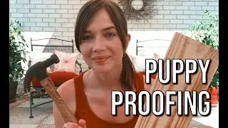 PUPPY PROOFING the ENTIRE backyard?!