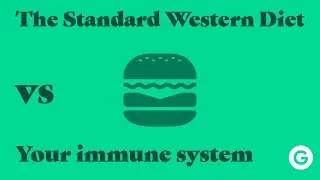 How does the Standard Western Diet affect your immune system?